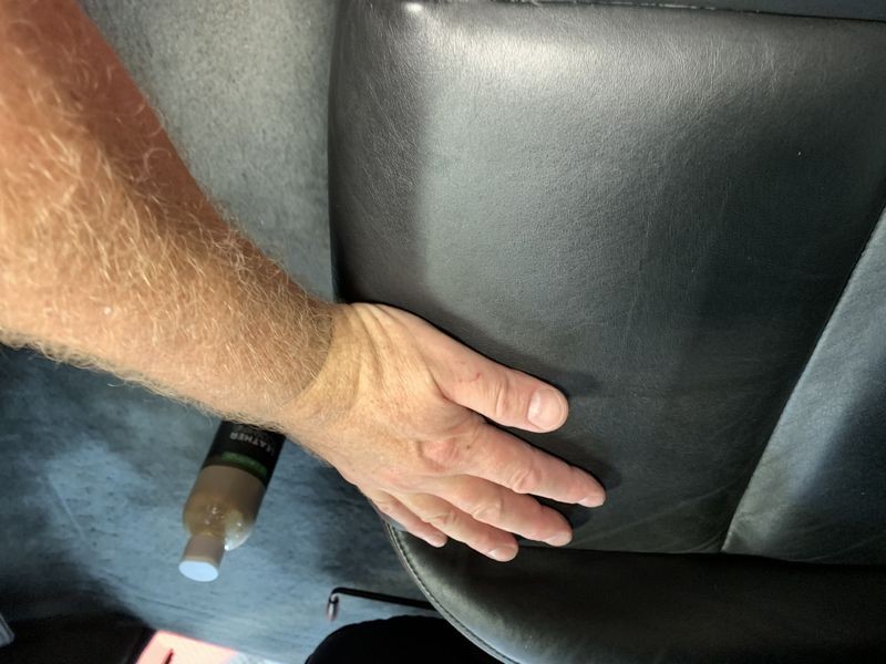 Review IGL Coatings Leather ECOSHINE