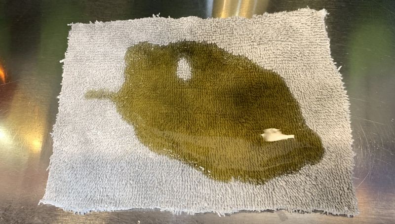 Review Letherique Leather Rejuvenator and Printine Clean