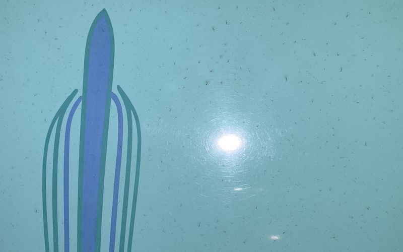 Review Wolfgang PROFI Ceramic Coating 1932 Ford Roadster