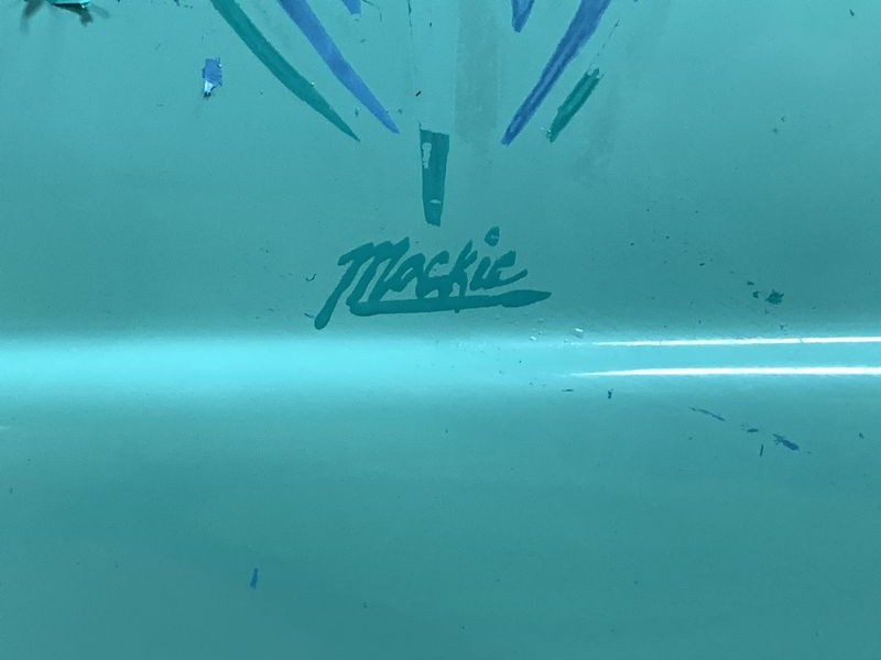 Review Wolfgang PROFI Ceramic Coating 1932 Ford Roadster