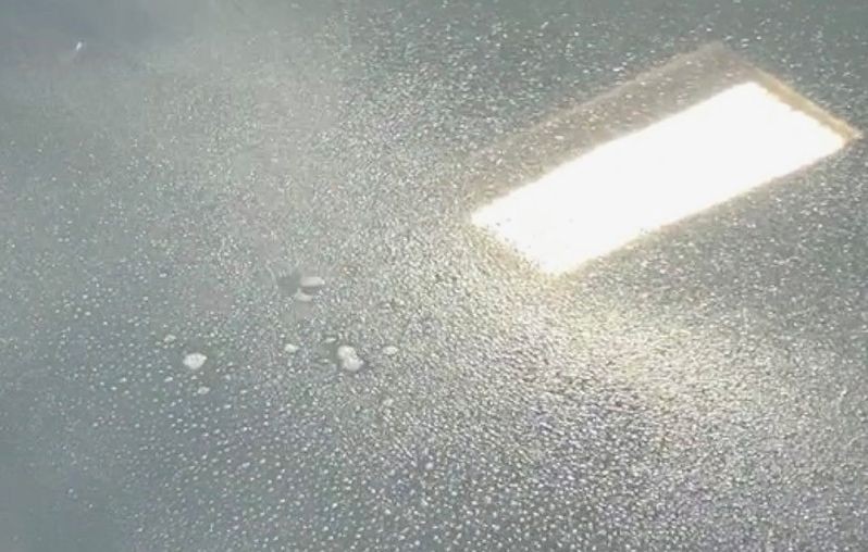 Review Wolfgang PROFI Ceramic Coating