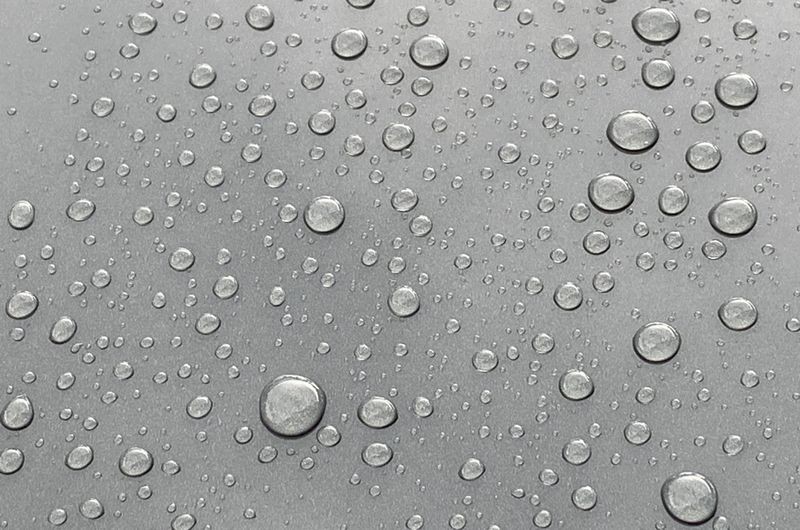 Review Wolfgang PROFI Ceramic Coating