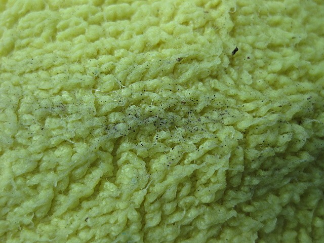 Rinseless Wash