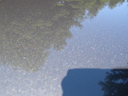 Roof_after4