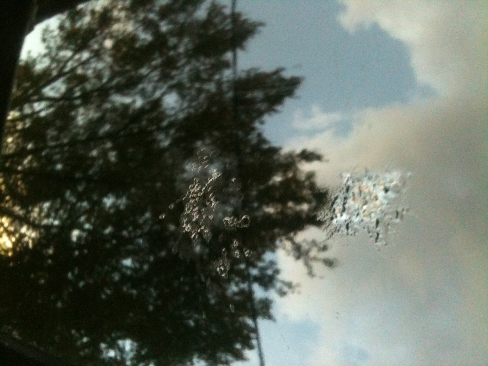 Roof_stain