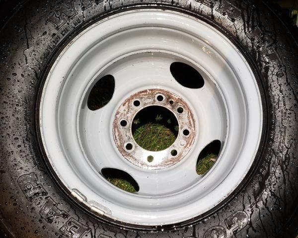 rsz_clean