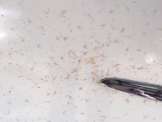 Rust showing through original single stage paint mike phillips