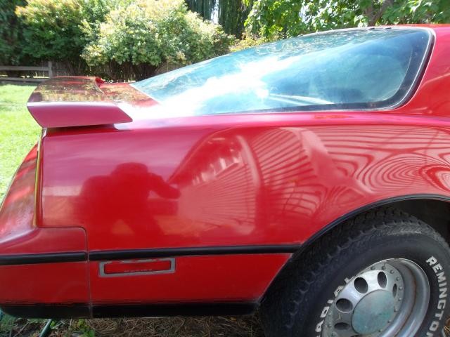 SAM_3584