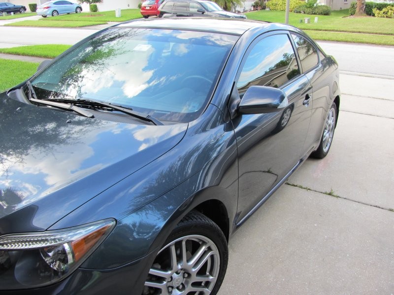 Scion