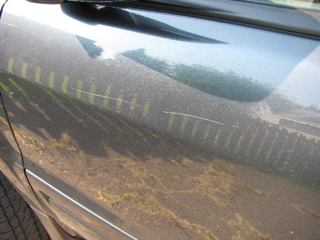 Scratches