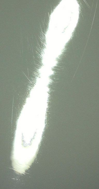 Screen_Shot_2014-03-29_at_7_56_14_PM