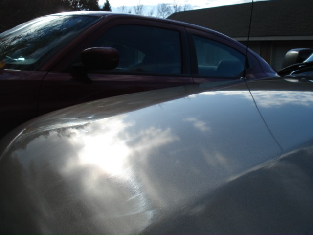 Sealant VS Wax