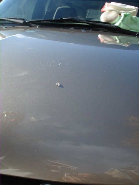 Sealant VS Wax