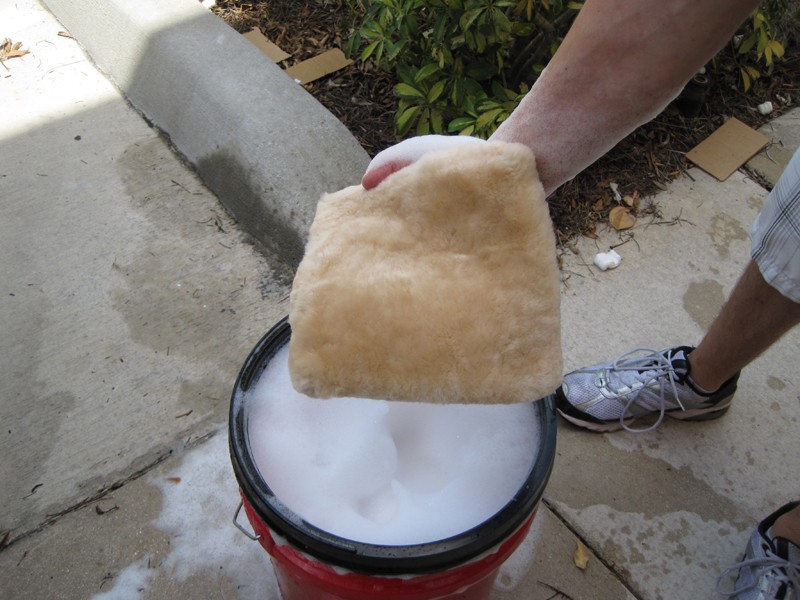Sheepskin1
