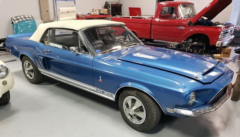 Shelby Mustang GT350 - Original Paint by Mike Phillips