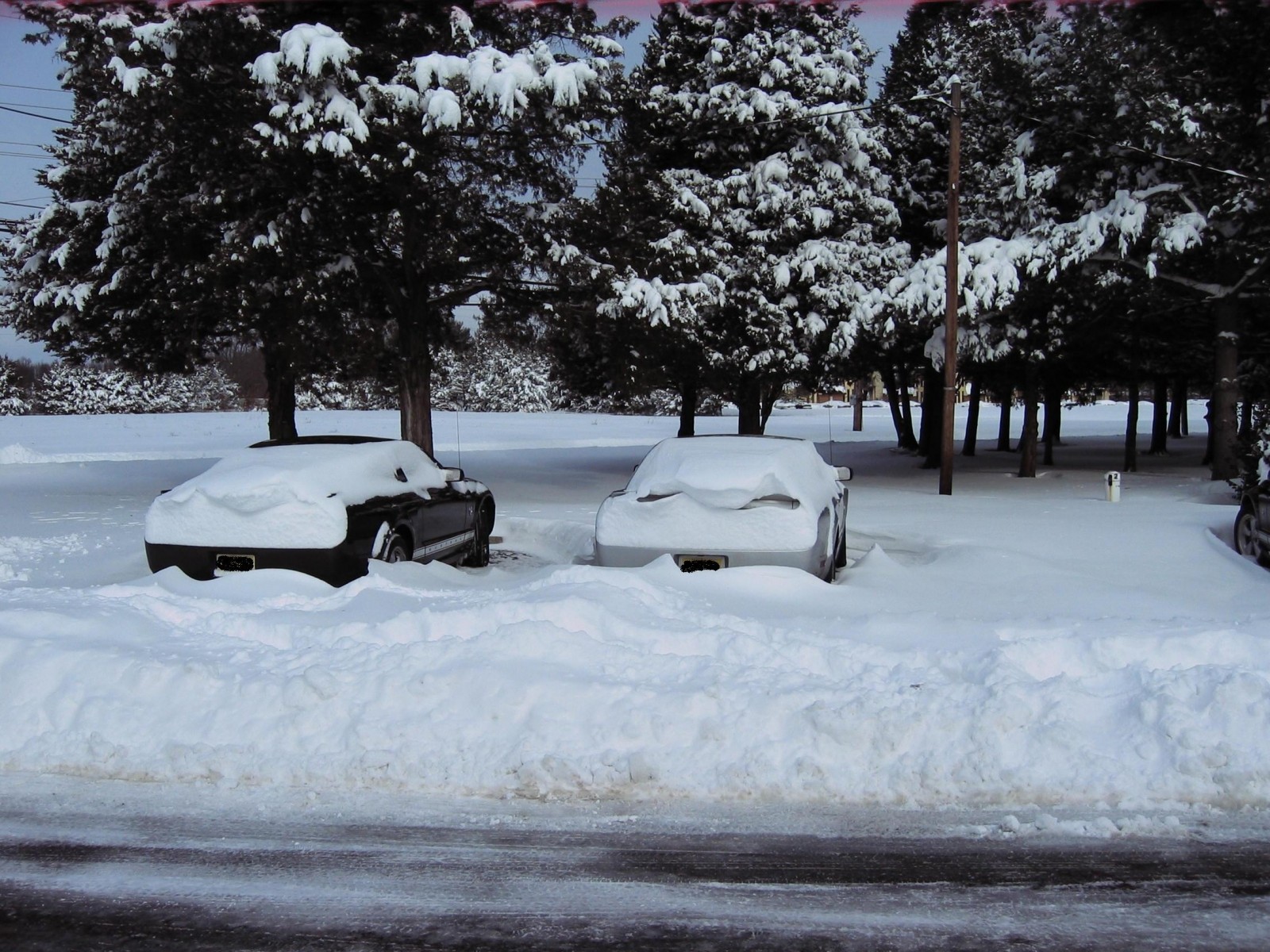 snow storm 2009