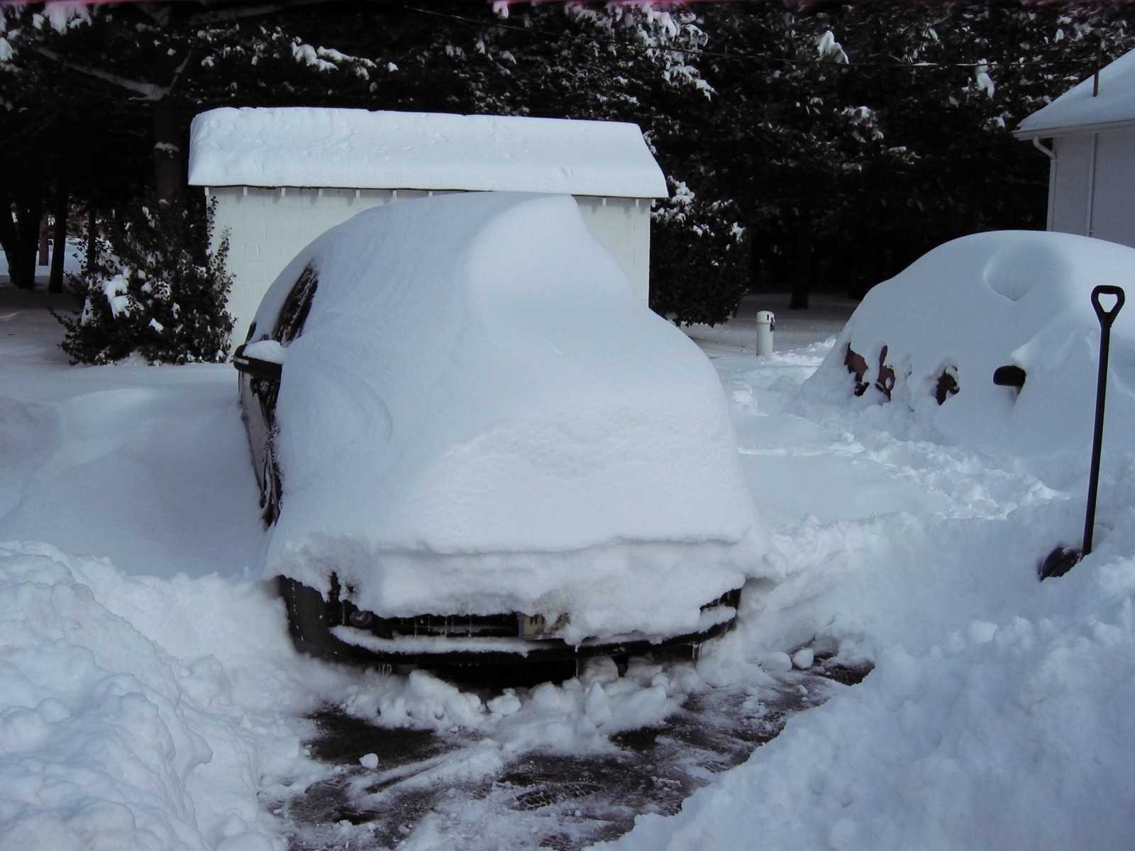 snow storm 2009