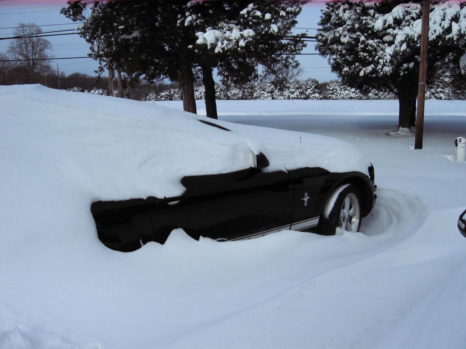 snow storm 2009