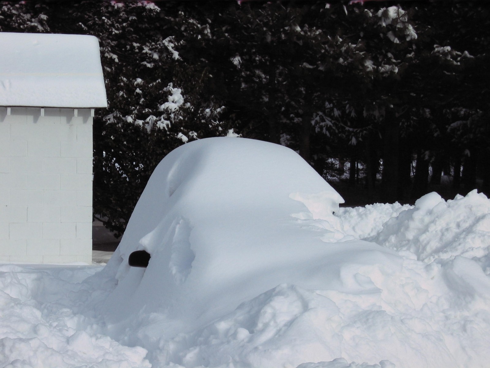 snow storm 2009
