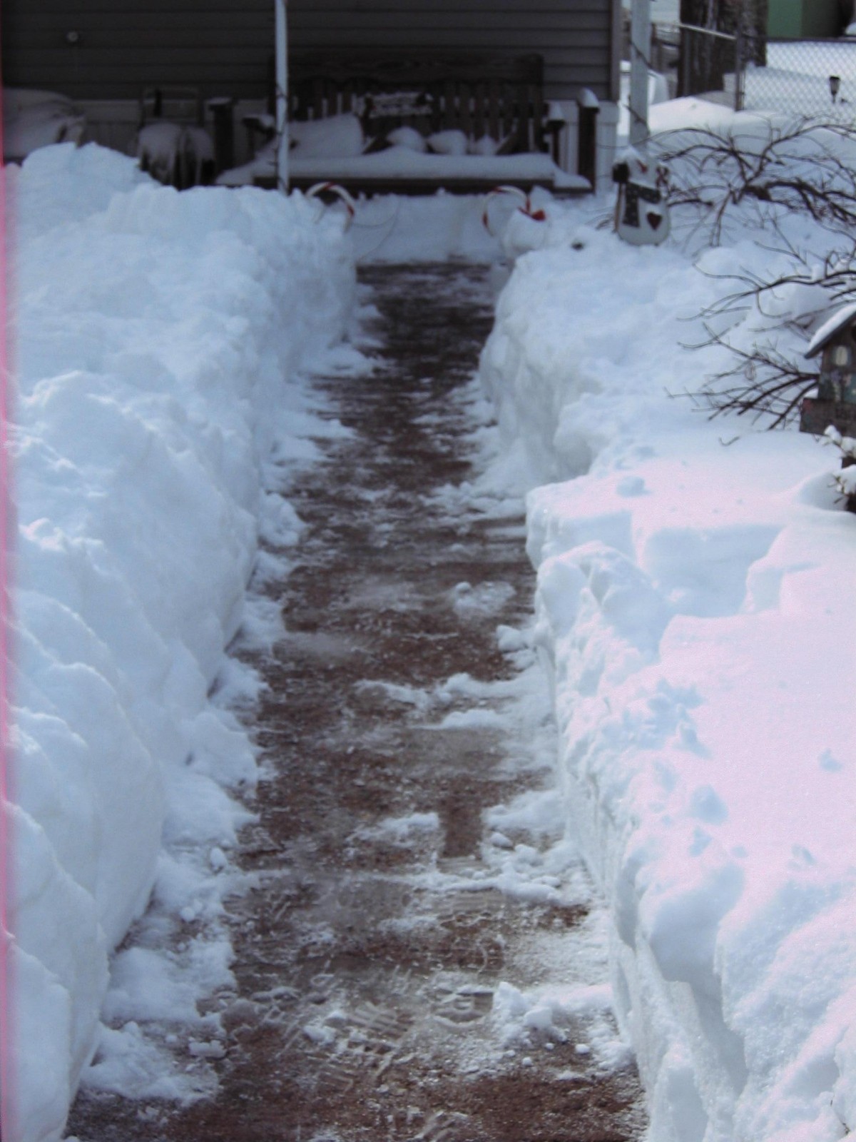 snow storm 2009