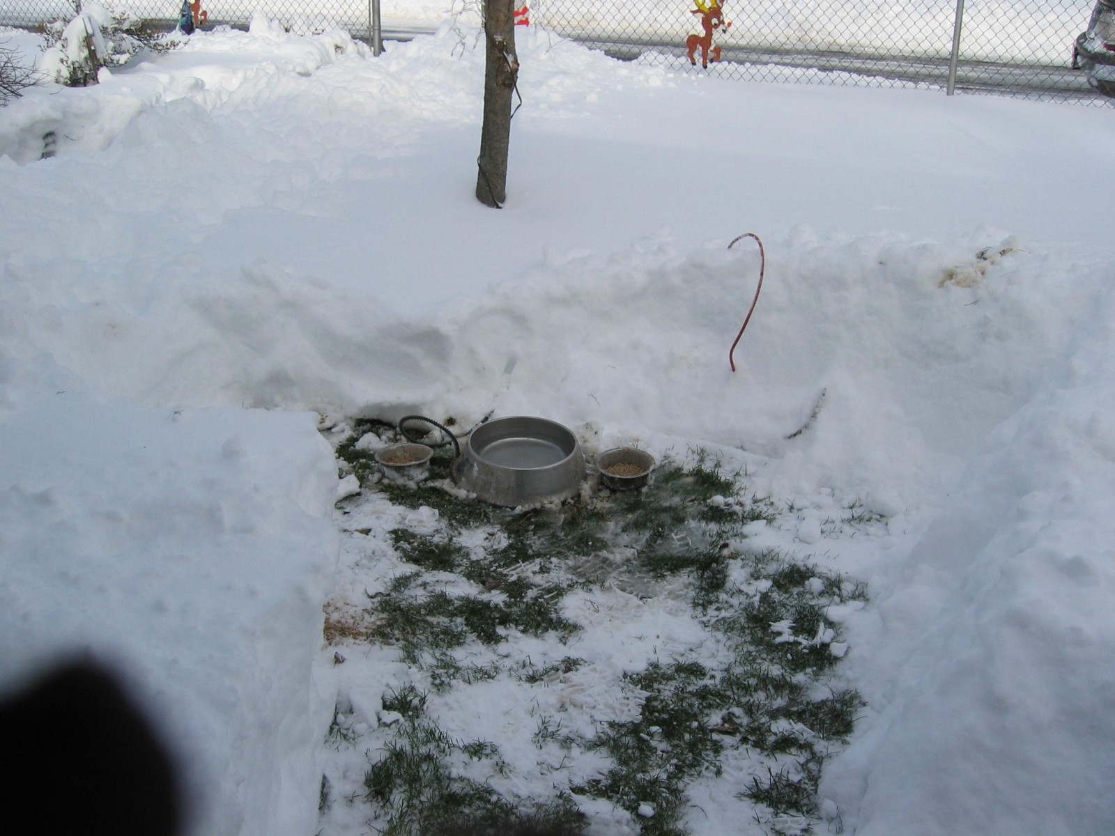 snow storm 2009