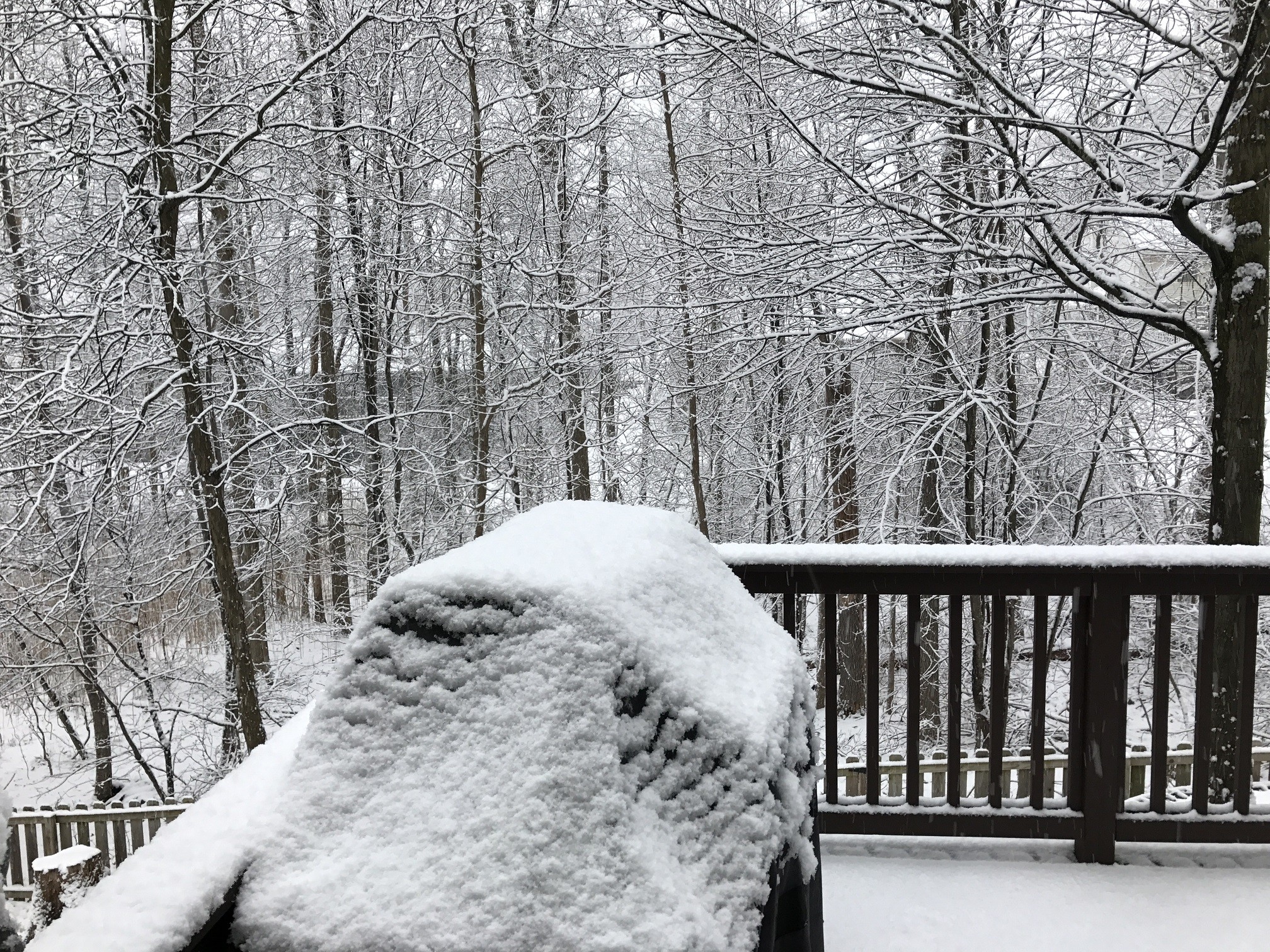 snow8