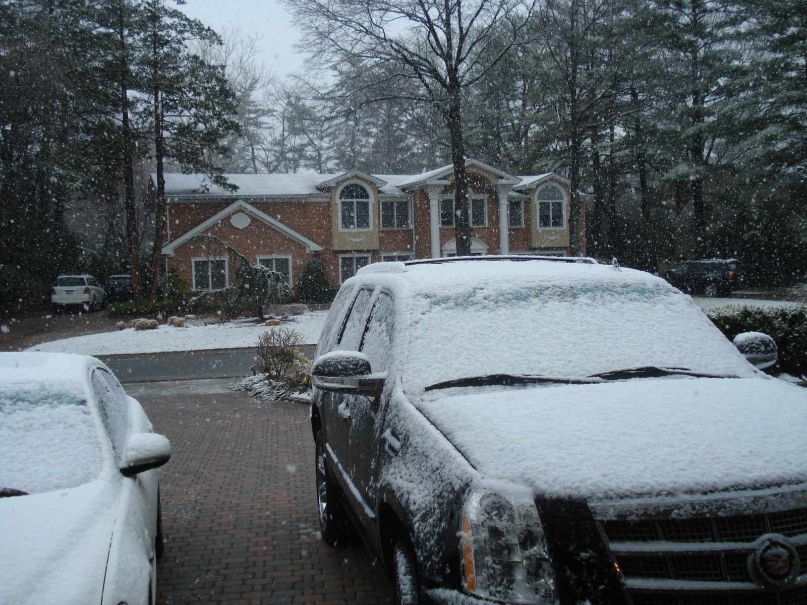 snow_001