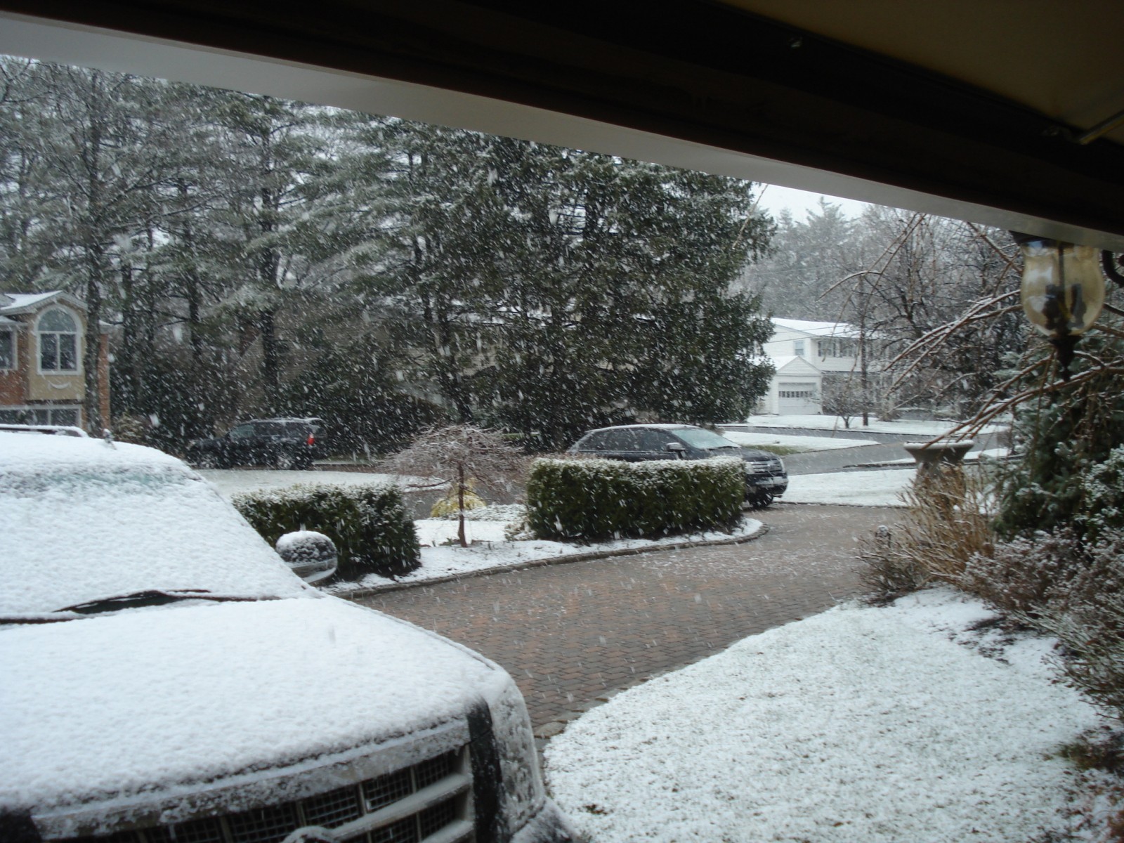 snow_0021