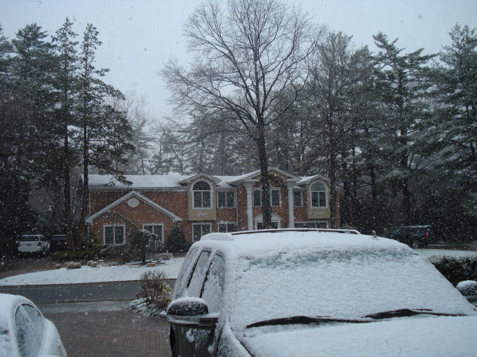 snow_003