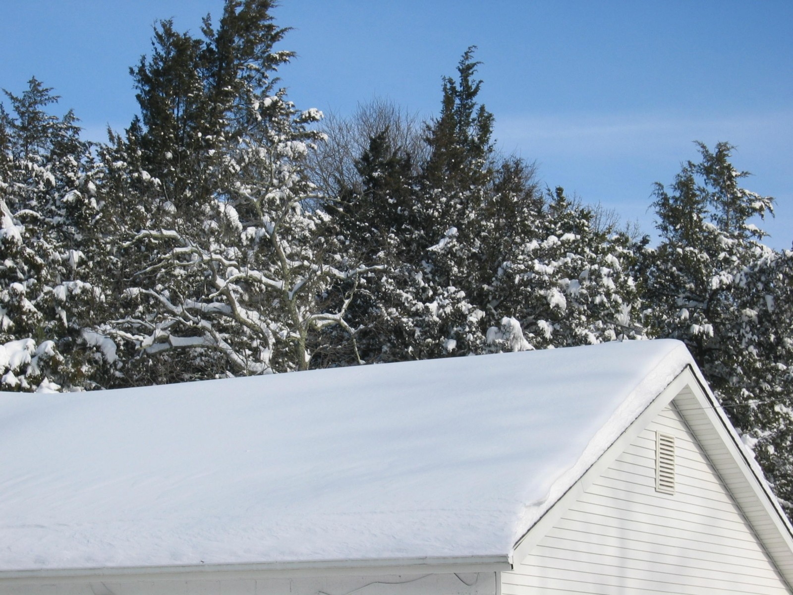snowstorm 2009 part 2