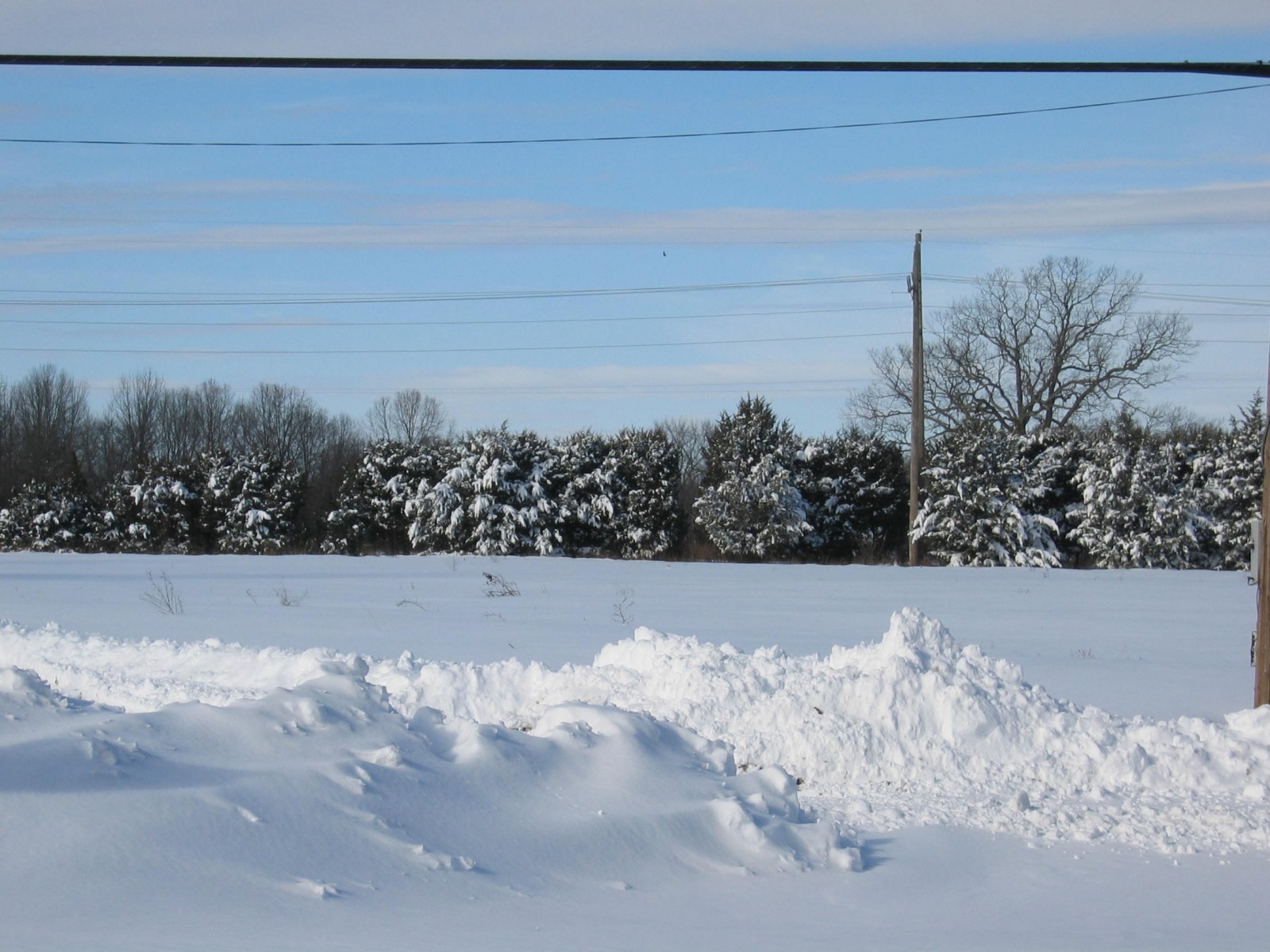 snowstorm 2009 part 2