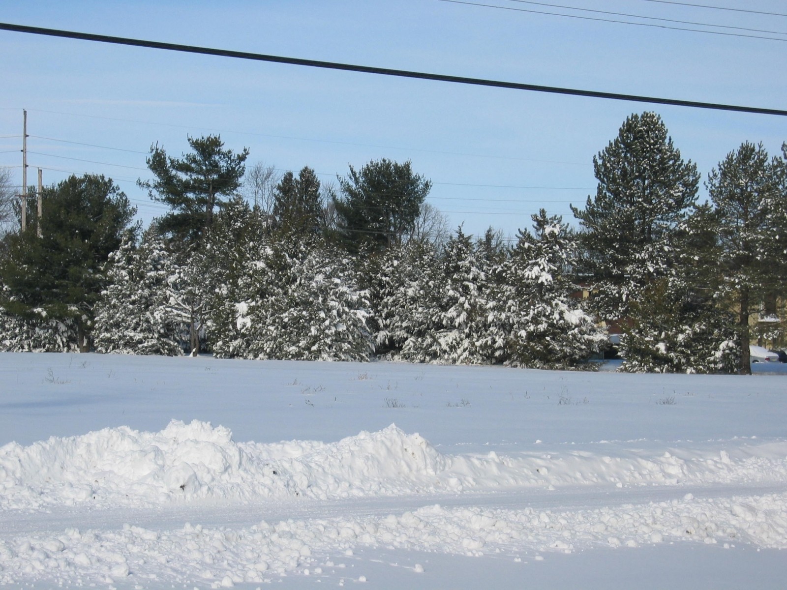 snowstorm 2009 part 2