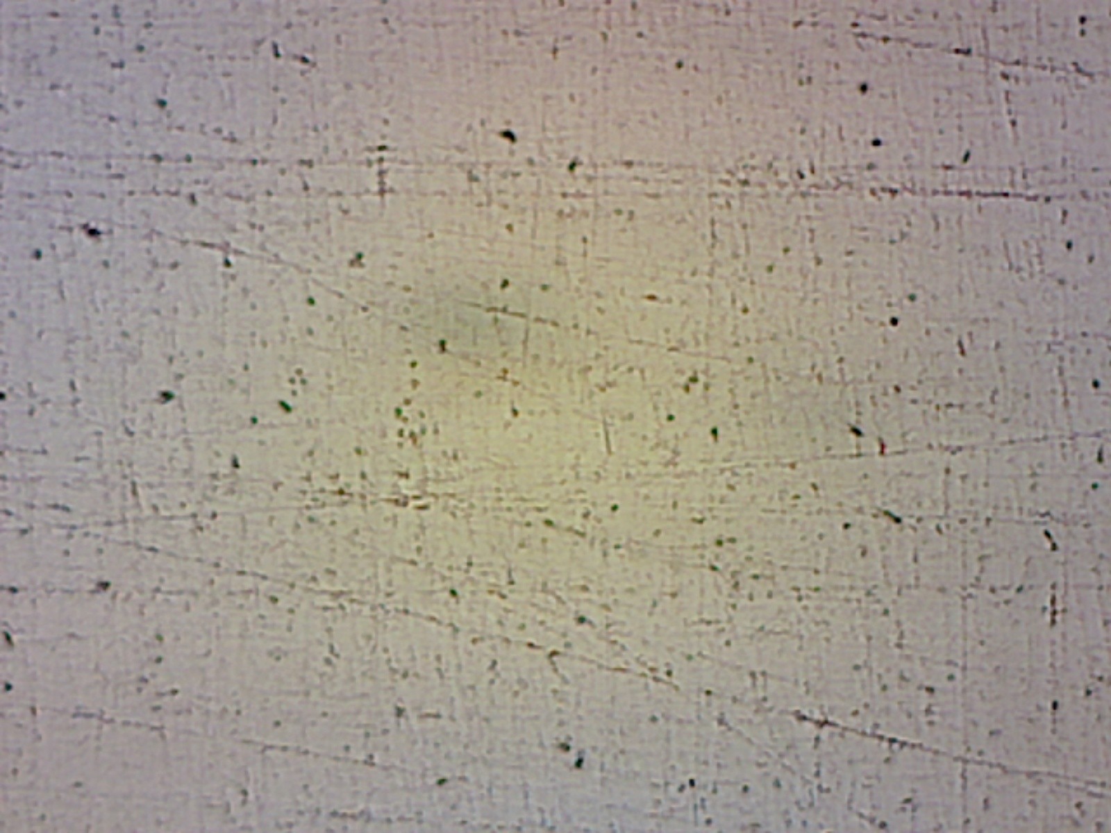 Solvent based coating