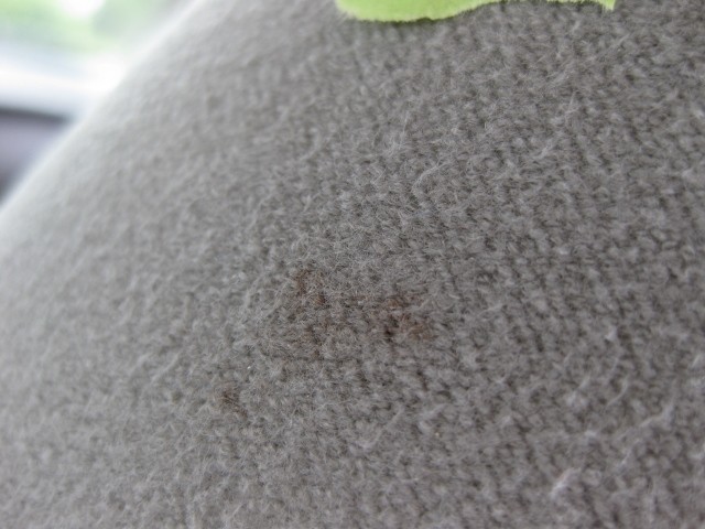 Sonax Fabric Review
