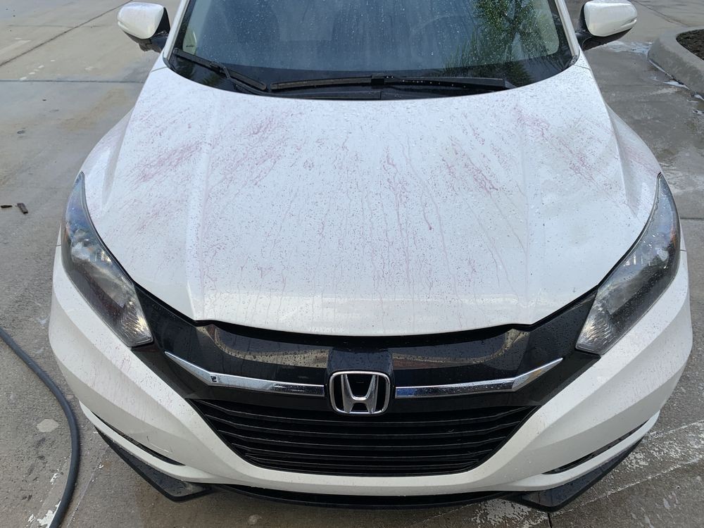 SONAX Fallout Remover - Car Washing Clean Car
