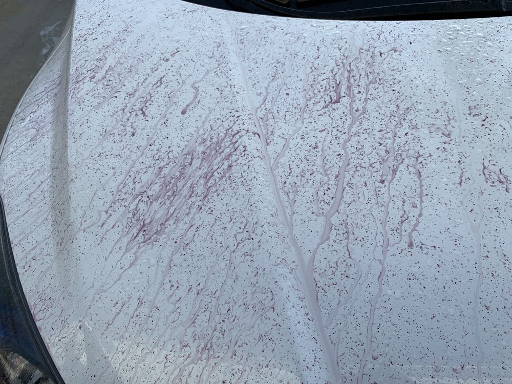 SONAX Fallout Remover - Car Washing Clean Car
