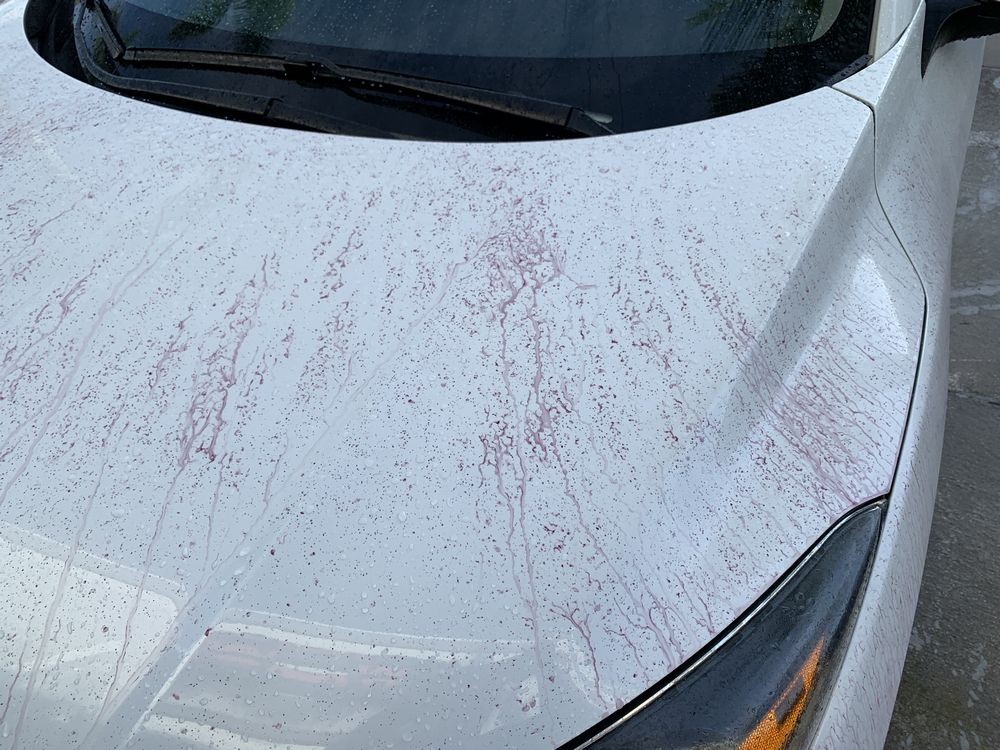 SONAX Fallout Remover - Car Washing Clean Car
