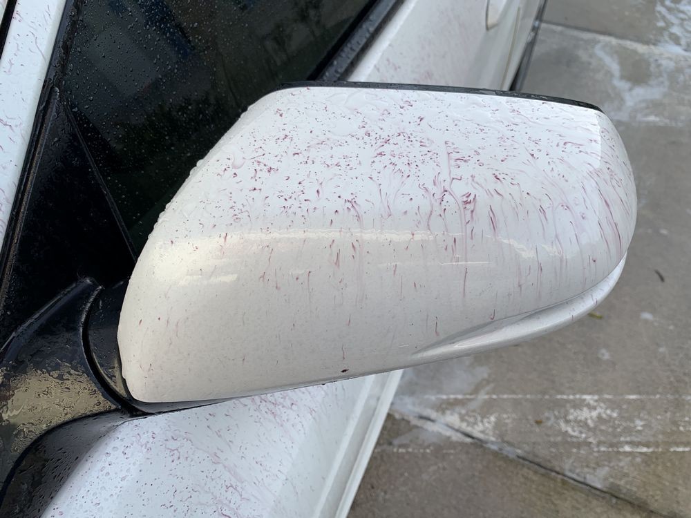 SONAX Fallout Remover - Car Washing Clean Car