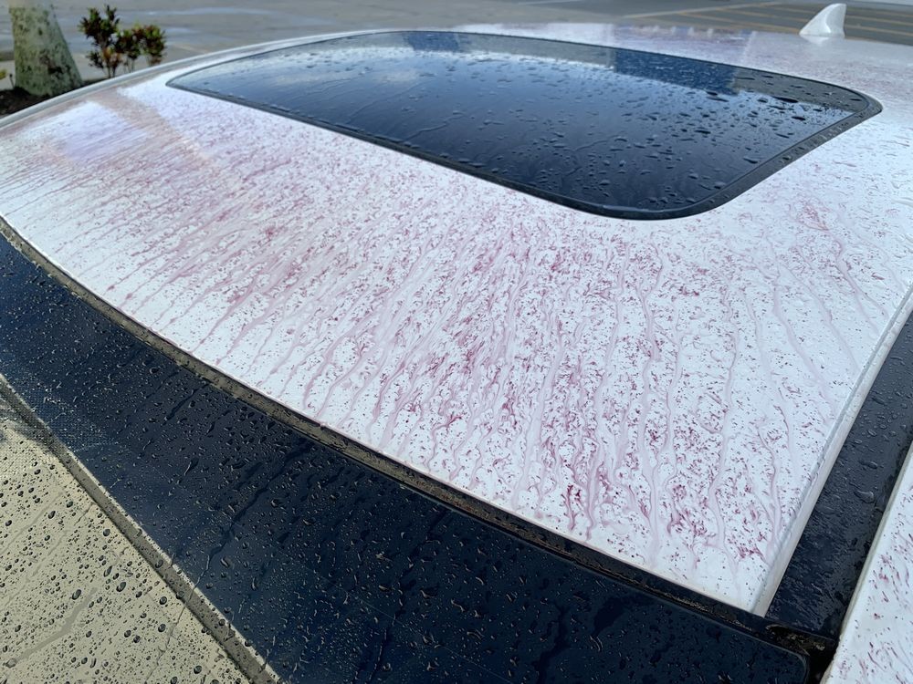 SONAX Fallout Remover - Car Washing Clean Car