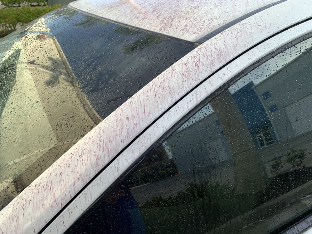 SONAX Fallout Remover - Car Washing Clean Car