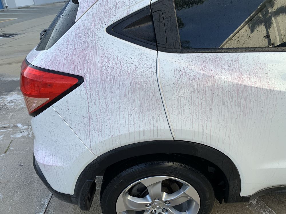 SONAX Fallout Remover - Car Washing Clean Car