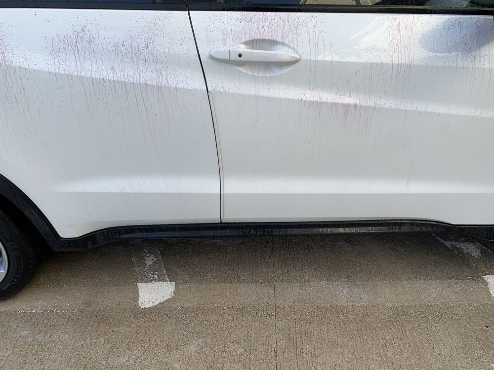 SONAX Fallout Remover - Car Washing Clean Car