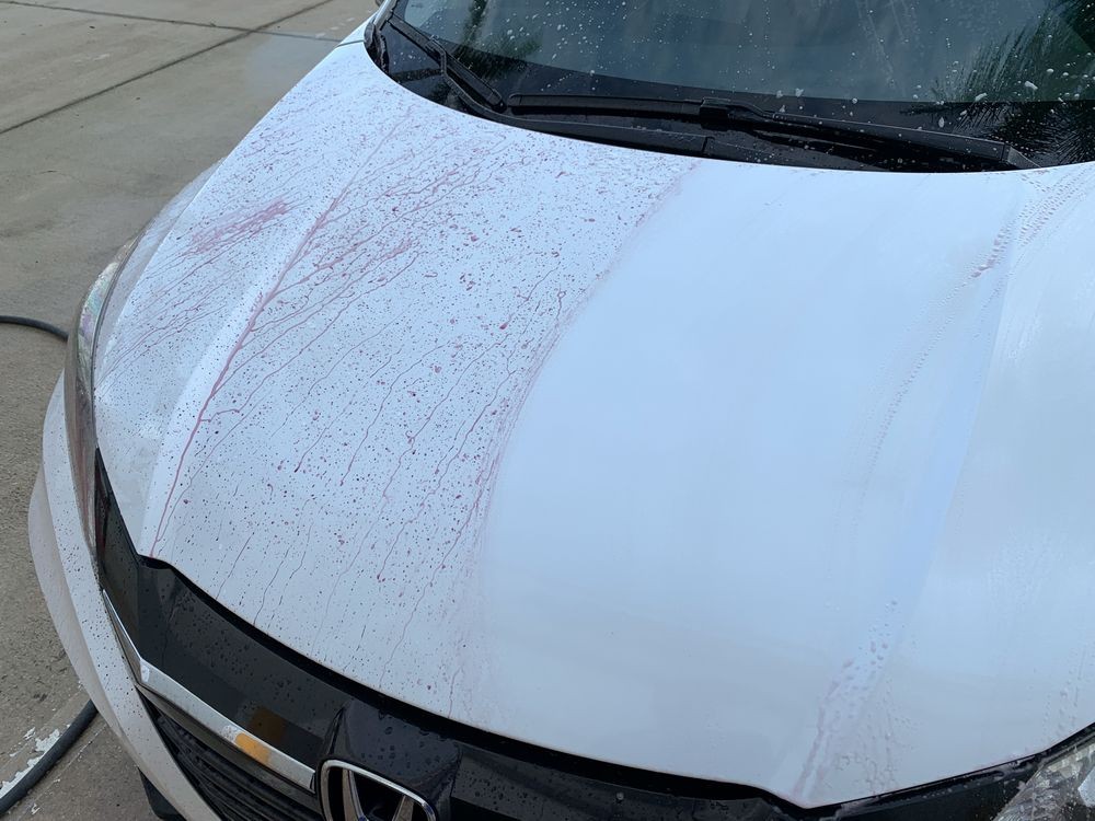 SONAX Fallout Remover - Car Washing Clean Car