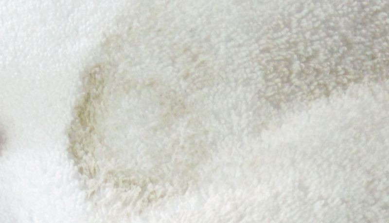 SONAX Leather Cleaner and SONAX Leather Care Cream