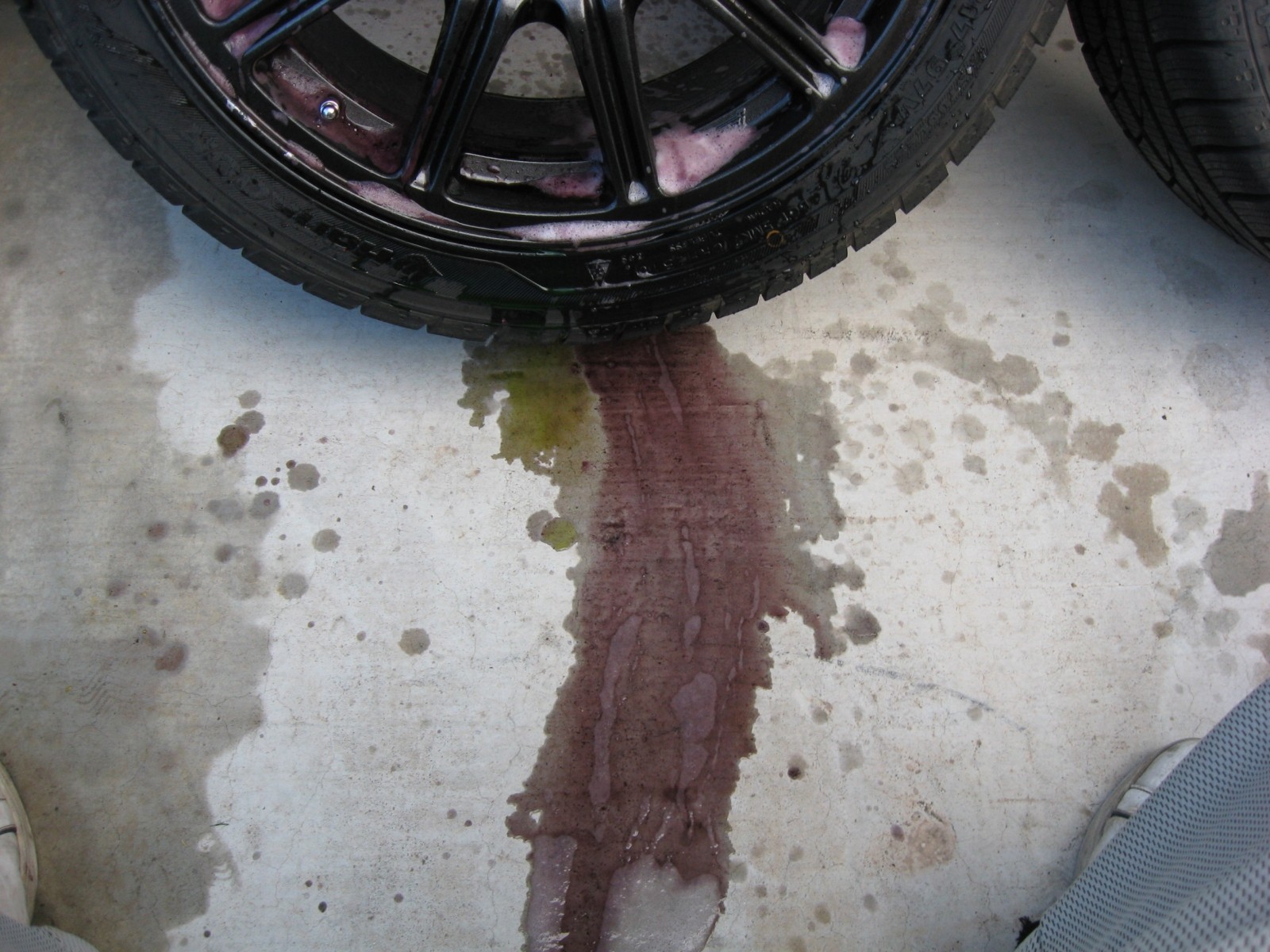 Sonax_Bleeding
