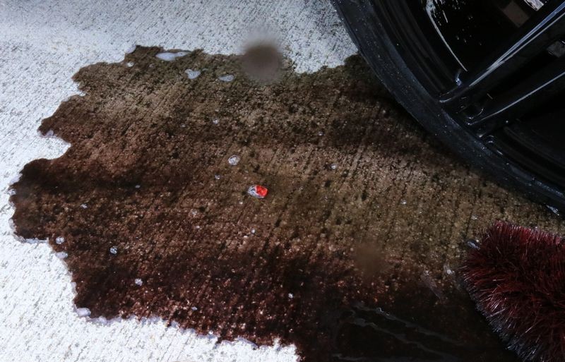 Speed Master Wheel Cleaning Brushes  Mike Phillips