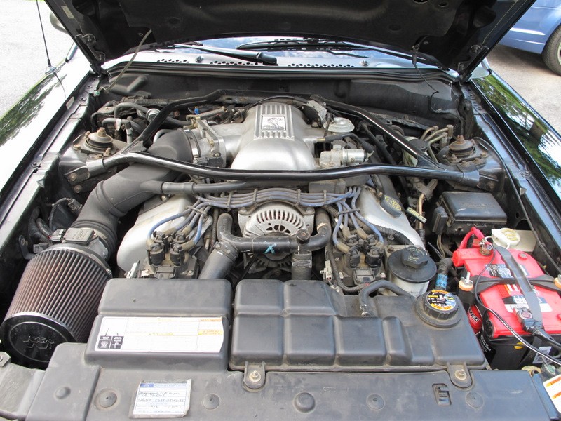 Spiney's 96 Ford SVT Cobra Engine Bay