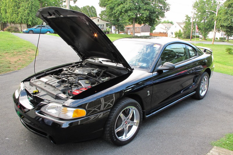 Spiney's 96 Ford SVT Cobra Hood Up