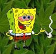 spongeBob