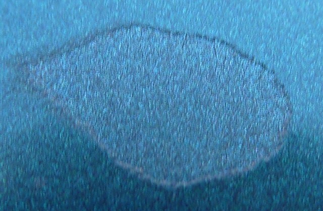 Spots on hood